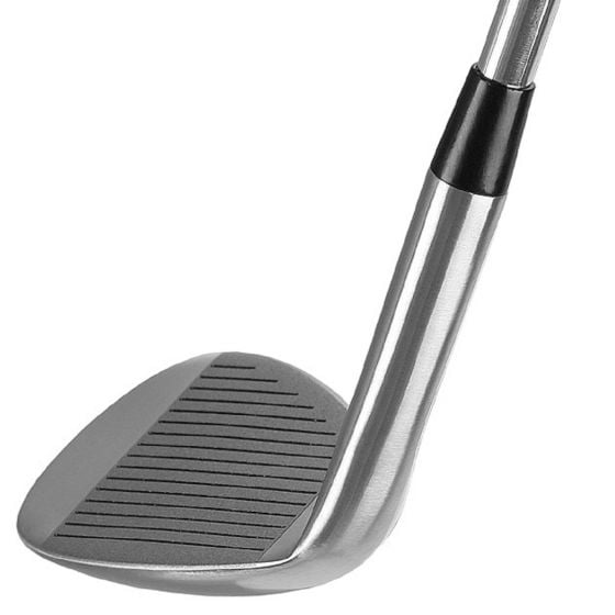 angle face and hosel view of the Professional Open Series 690 Wedge