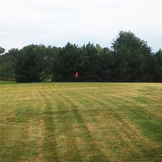 View from 100 yards away of the Tour Gear Portable Golf Flag with Cup in someone's yard