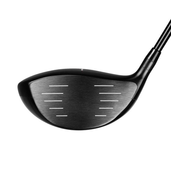 Acer SR1 titanium driver face view